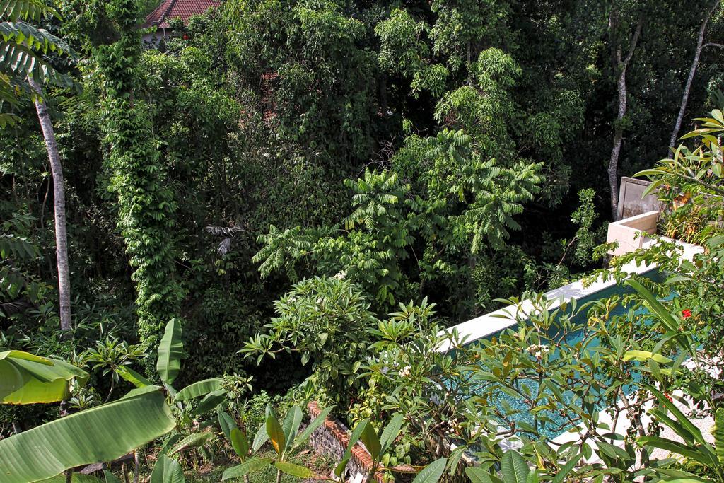 Bismajaya Bungalow Ubud  Luaran gambar