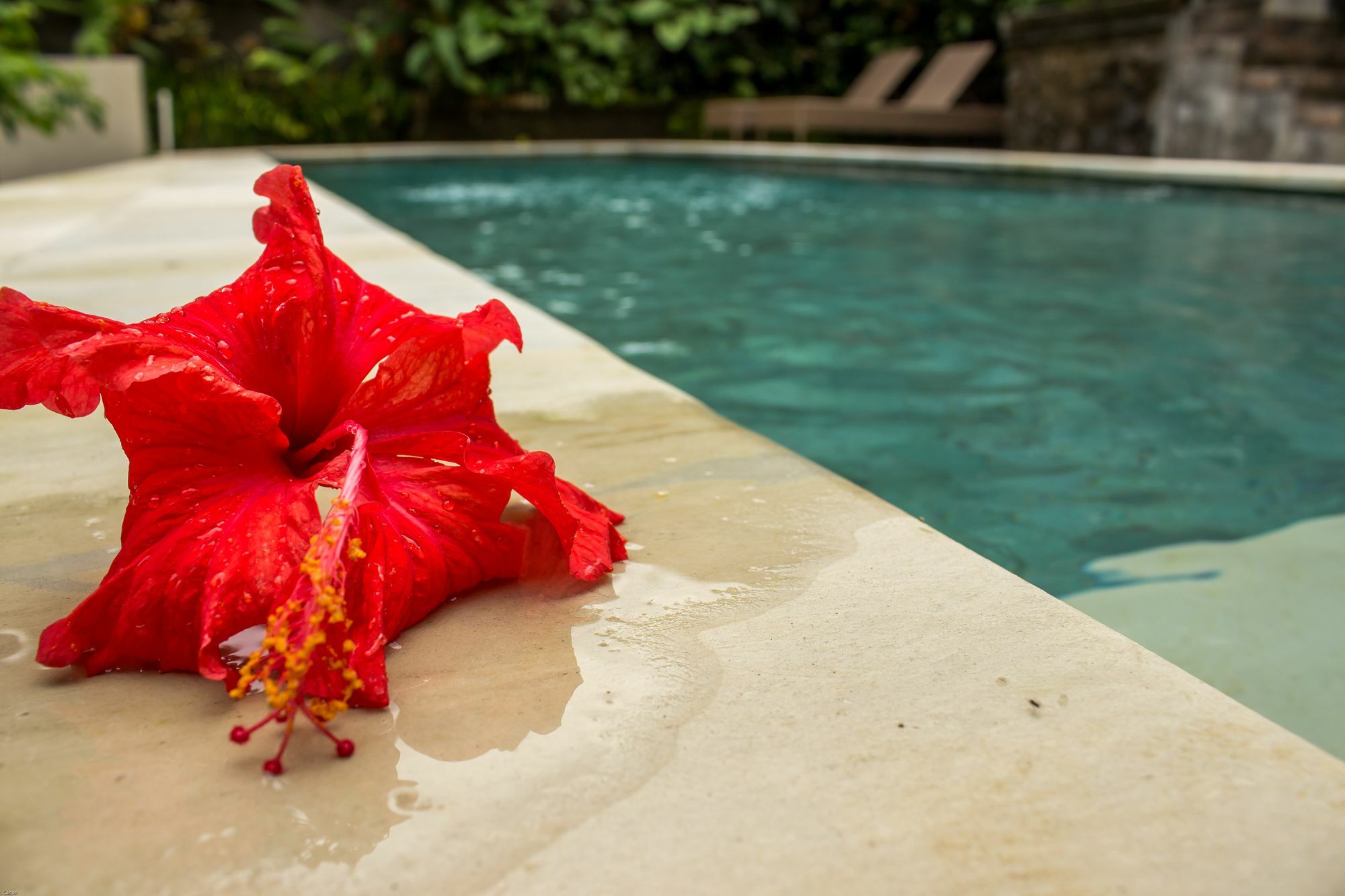 Bismajaya Bungalow Ubud  Luaran gambar