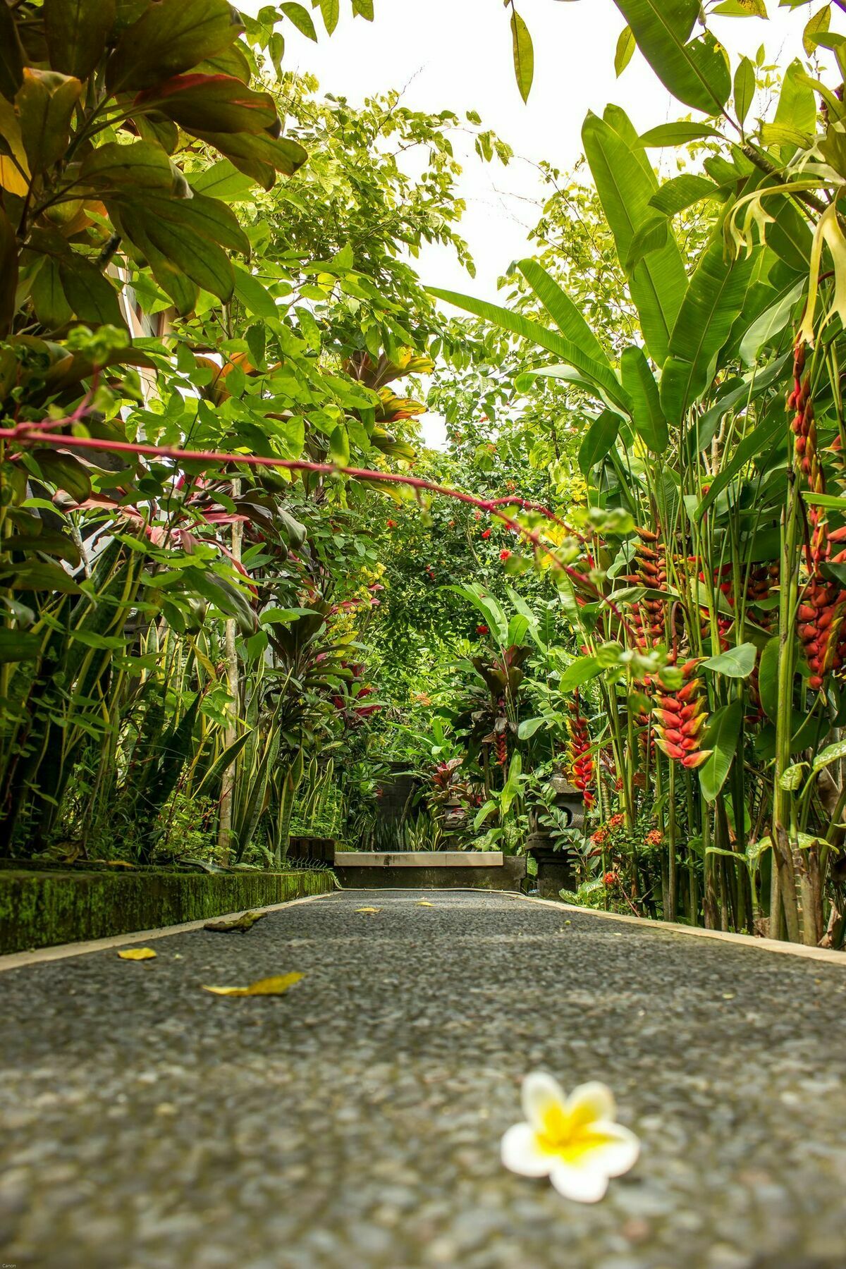 Bismajaya Bungalow Ubud  Luaran gambar